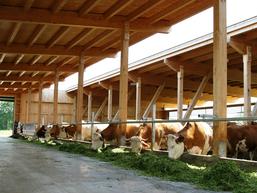 Sind die Arbeiten abgeschlossen, sollte der Stall so gestaltet sein, dass sich neben den Tieren gleichermaßen "die Menschen am Arbeitsplatz" wohl fühlen / © J. Simon - LfL-ILT Sind die Arbeiten abgeschlossen, sollte der Stall so gestaltet sein, dass sich neben den Tieren gleichermaßen "die Menschen am Arbeitsplatz" wohl fühlen