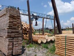 Regionales Bauen erfährt durch Anwohner mehr Zustimmung / © Cluster Forst und Holz Regionales Bauen erfährt durch Anwohner mehr Zustimmung