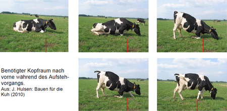 / © Dr. J.H.J.L. Hulsen - Vetvice Group NL