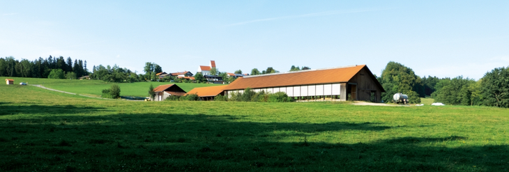 Zurück zu Projekte Projekte