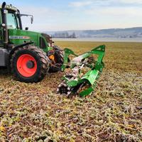 Anpassung an die Trockenheit ohne Bewässerung / Symbolbild / © T. Koller, Landwirt in Bayerbach Anpassung an die Trockenheit ohne Bewässerung / Symbolbild