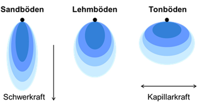 Horizontale Ausbreitung der Durchfeuchtungszonen unter Tropfstellen, ansteigend mit zunehmendem Tongehalt bzw. Feinporenanteil des Bodens / © M Horizontale Ausbreitung der Durchfeuchtungszonen unter Tropfstellen, ansteigend mit zunehmendem Tongehalt bzw. Feinporenanteil des Bodens