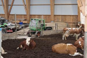 Die Bergehalle als Teil des Stalls ermöglicht kurze Wege beim Nachstreuen des Substrats. / © Martin Mülller - ALB Bayern e.V. Die Bergehalle als Teil des Stalls ermöglicht kurze Wege beim Nachstreuen des Substrats.