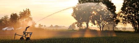 In der Nacht und den Morgenstunden sind Verdunstungsverluste beim Einsatz von Beregnungsmaschinen mit Starkregner oder Mittelstarkregner gering - vorausgesetzt es herrscht Windstille. / © P. Wagner - ALB Bayern e.V. In der Nacht und den Morgenstunden sind Verdunstungsverluste beim Einsatz von Beregnungsmaschinen mit Starkregner oder Mittelstarkregner gering - vorausgesetzt es herrscht Windstille.