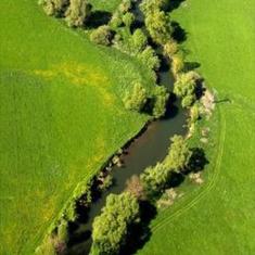 Abflussschwache Gewässer oder Feuchtbiotope werden bereits bei geringer Absenkung des Grundwassers negativ beeinflusst / © Frederik Zumkeller, Reg. v. Ufr., Würzburg Abflussschwache Gewässer oder Feuchtbiotope werden bereits bei geringer Absenkung des Grundwassers negativ beeinflusst