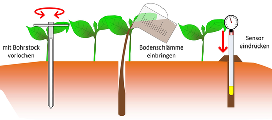 Setzen von Tensionmetern in drei Schritten / © Michael Beck - HSWT Setzen von Tensionmetern in drei Schritten