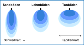 Durchfeuchtungszonen unter Tropfstellen / Tropfbewässerung: horizontale Ausbreitung steigend mit zunehmender Schwere der Böden / © ALB Bayern e.V. Durchfeuchtungszonen unter Tropfstellen / Tropfbewässerung: horizontale Ausbreitung steigend mit zunehmender Schwere der Böden