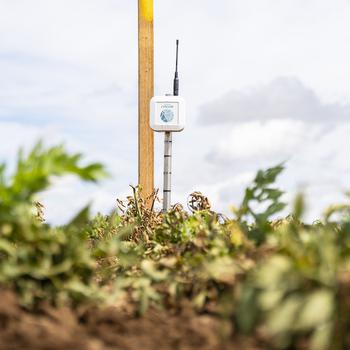 Steuerung der Bewässerung durch Messung der Bodenfeuchte mit einem Sensor / © ALB Steuerung der Bewässerung durch Messung der Bodenfeuchte mit einem Sensor