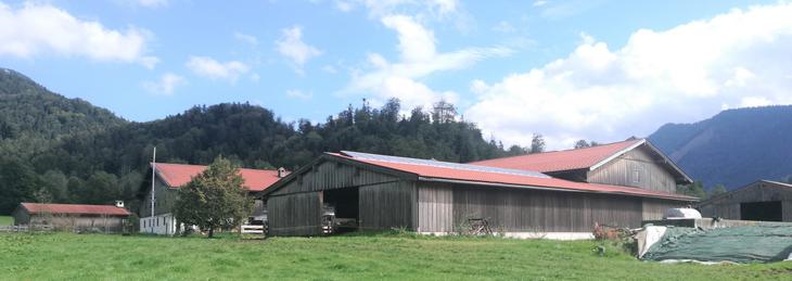 Hof- und Stallansicht (der Hof fügt sich ein) / © Stefan Bauer Hof- und Stallansicht (der Hof fügt sich ein)
