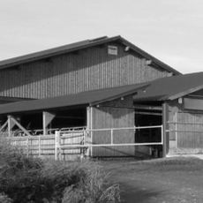 Licht und Luft - der offene Stall eignet sich auch zur Erweiterung bestehender Anlagen / © Ludwig Huber (AELF Traunstein) Licht und Luft - der offene Stall eignet sich auch zur Erweiterung bestehender Anlagen