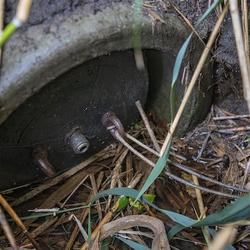 Anstauung von wasserabführenden Gräben während der Sommermonate im Einflussbereich des Beregnungsvereins Schwebheim / © Lukas Müller - ALB Anstauung von wasserabführenden Gräben während der Sommermonate im Einflussbereich des Beregnungsvereins Schwebheim